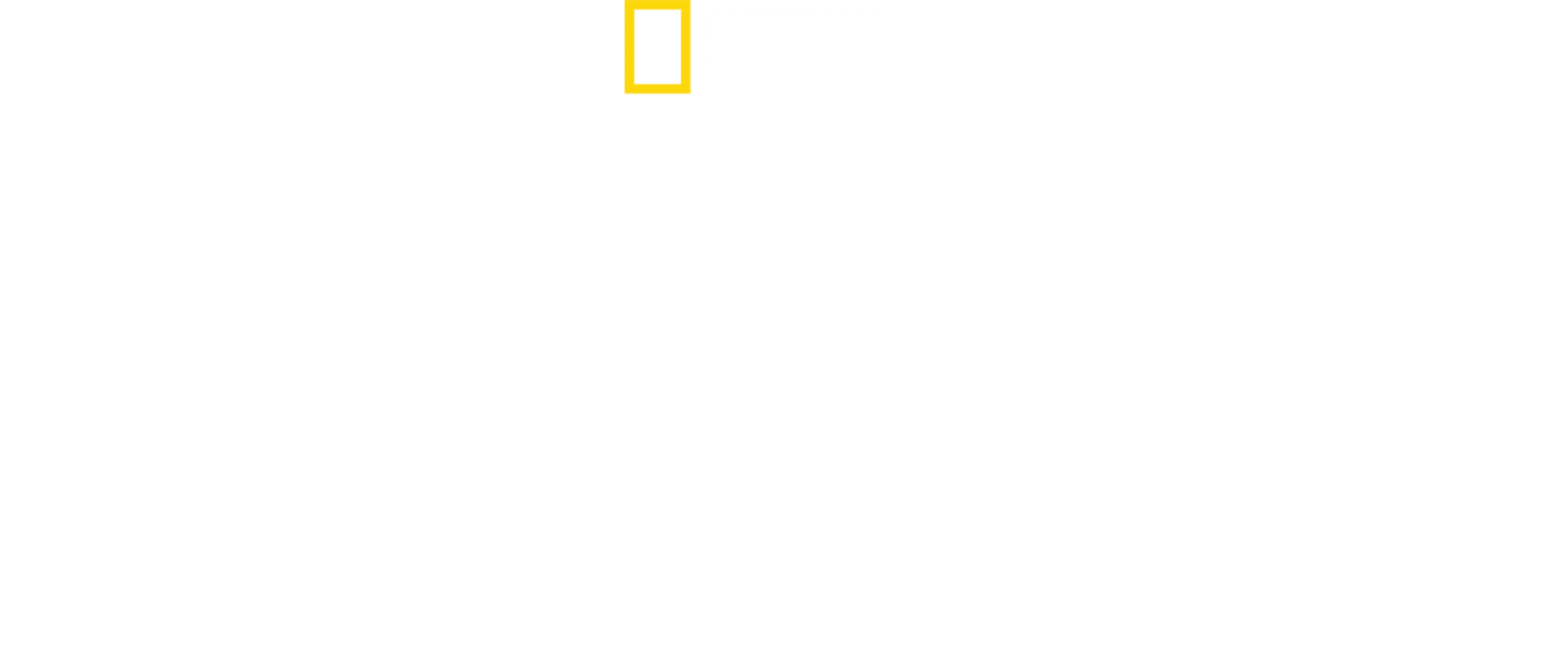 珍古德
