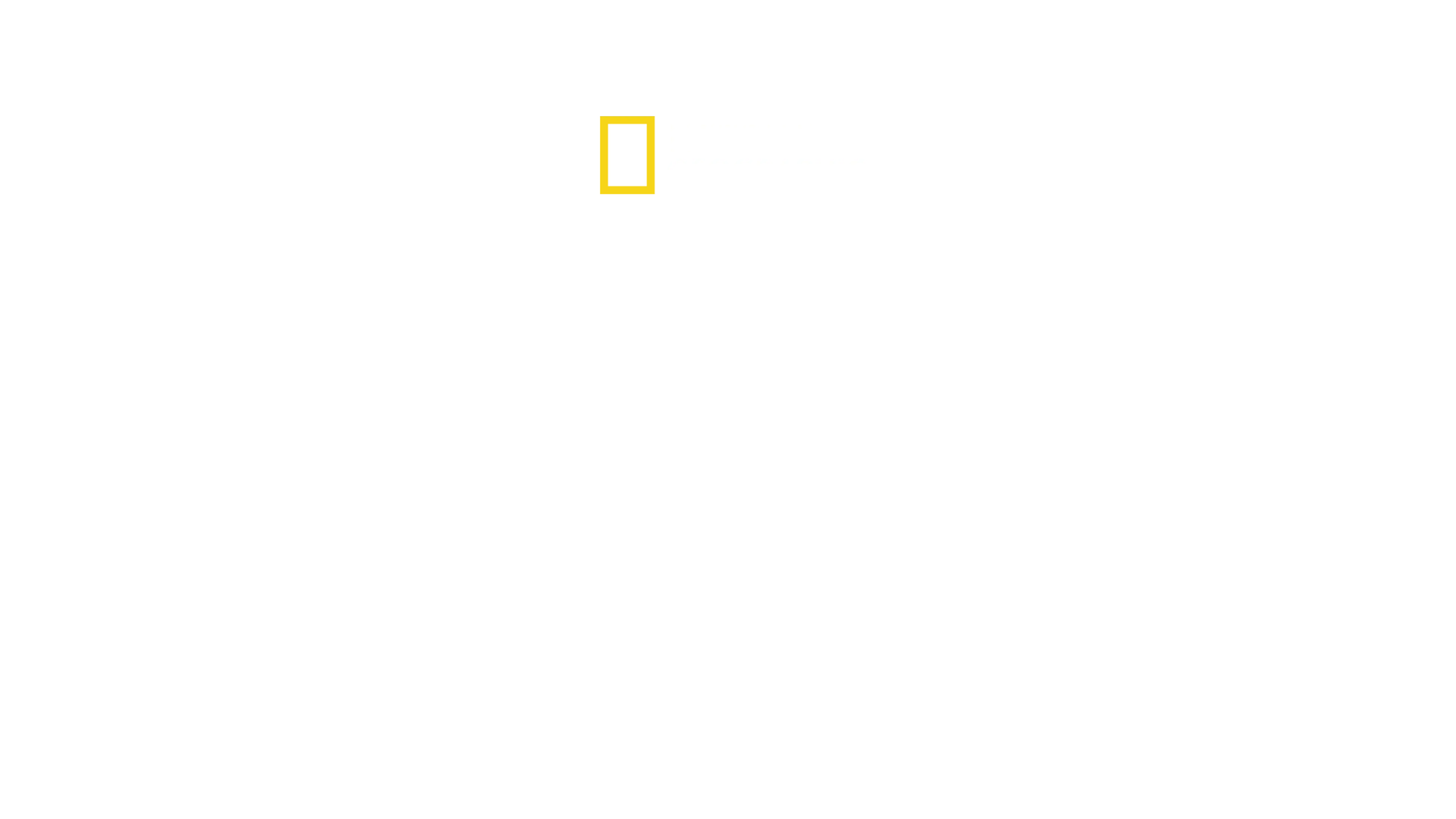 상어 vs 돌고래: 피의 전투