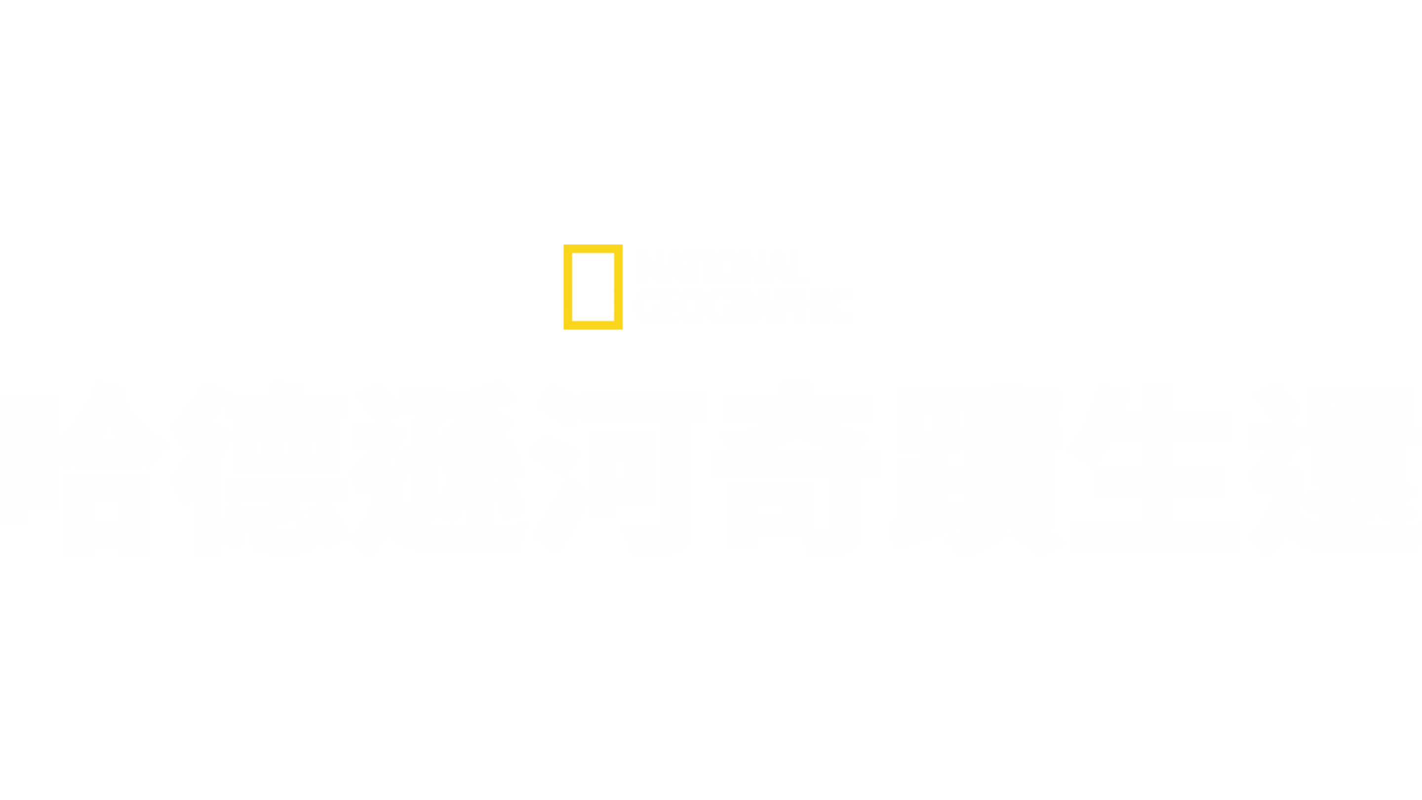 哈德遜河奇蹟生還