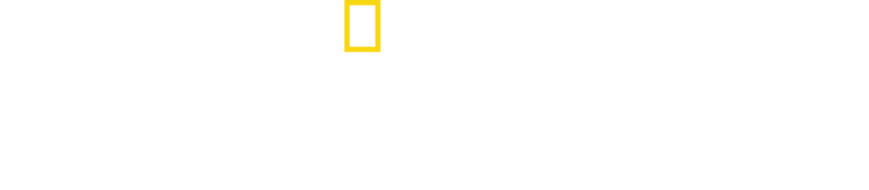 哈德遜河奇蹟生還