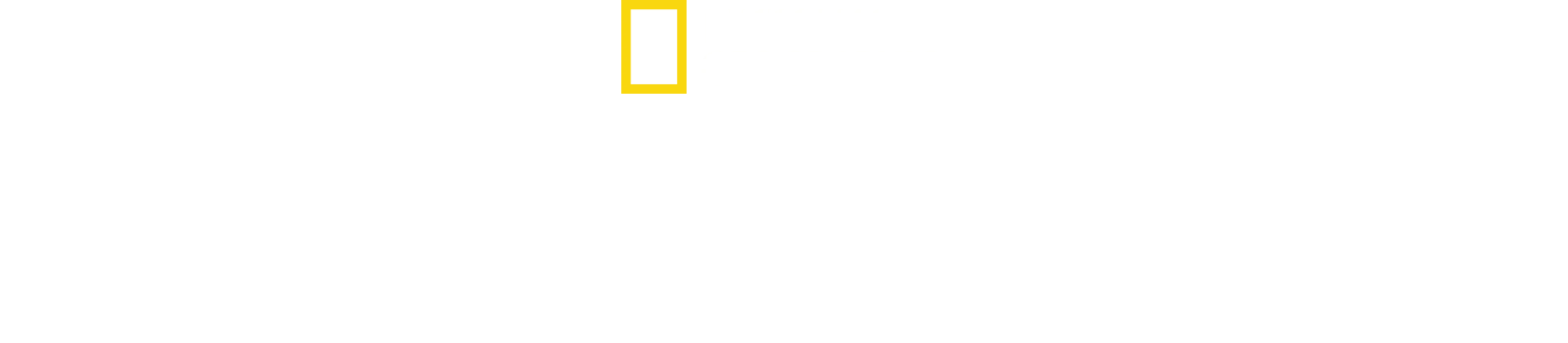 哈德遜河奇蹟生還