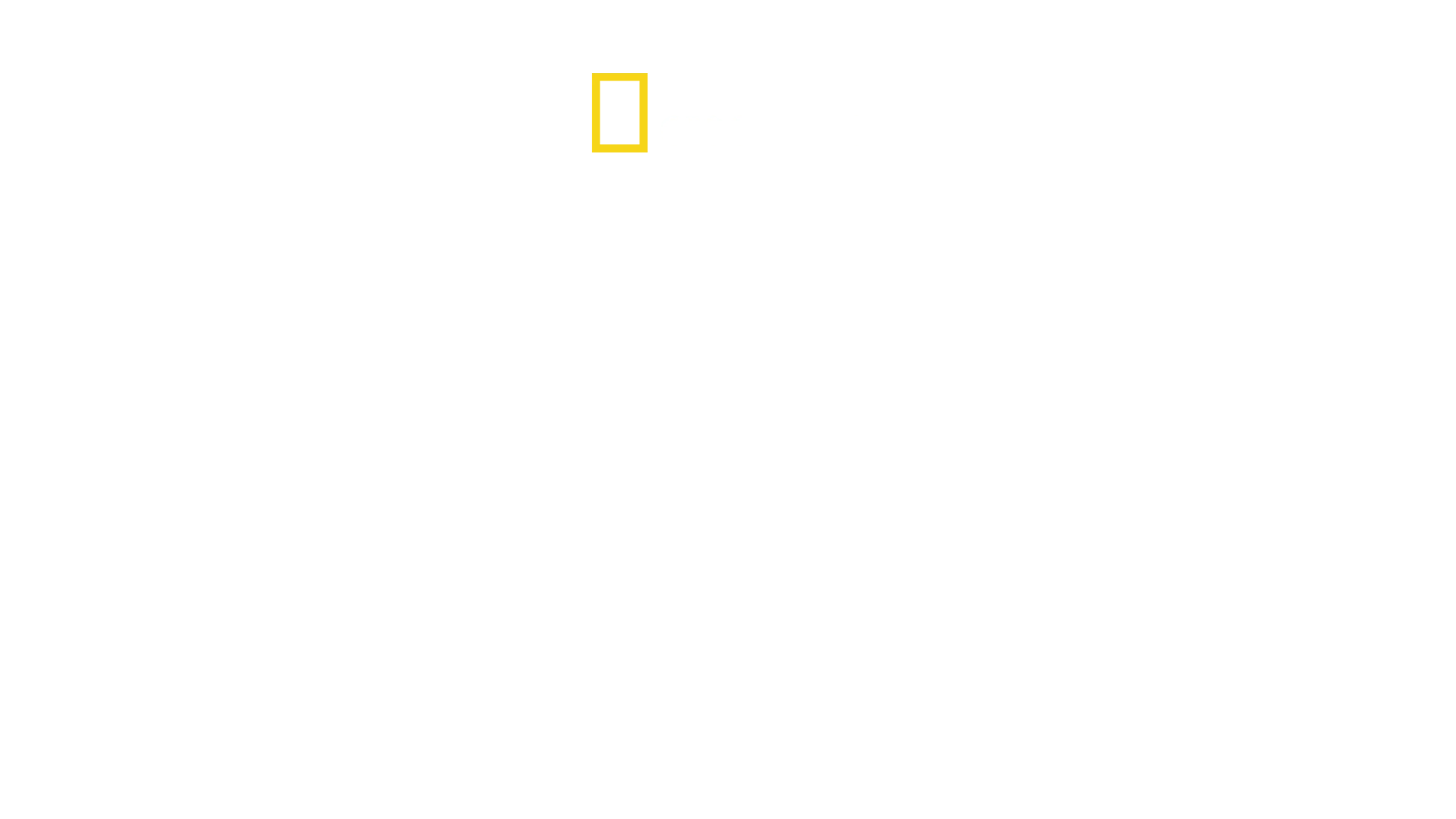 Bobi Wine: el presidente del pueblo