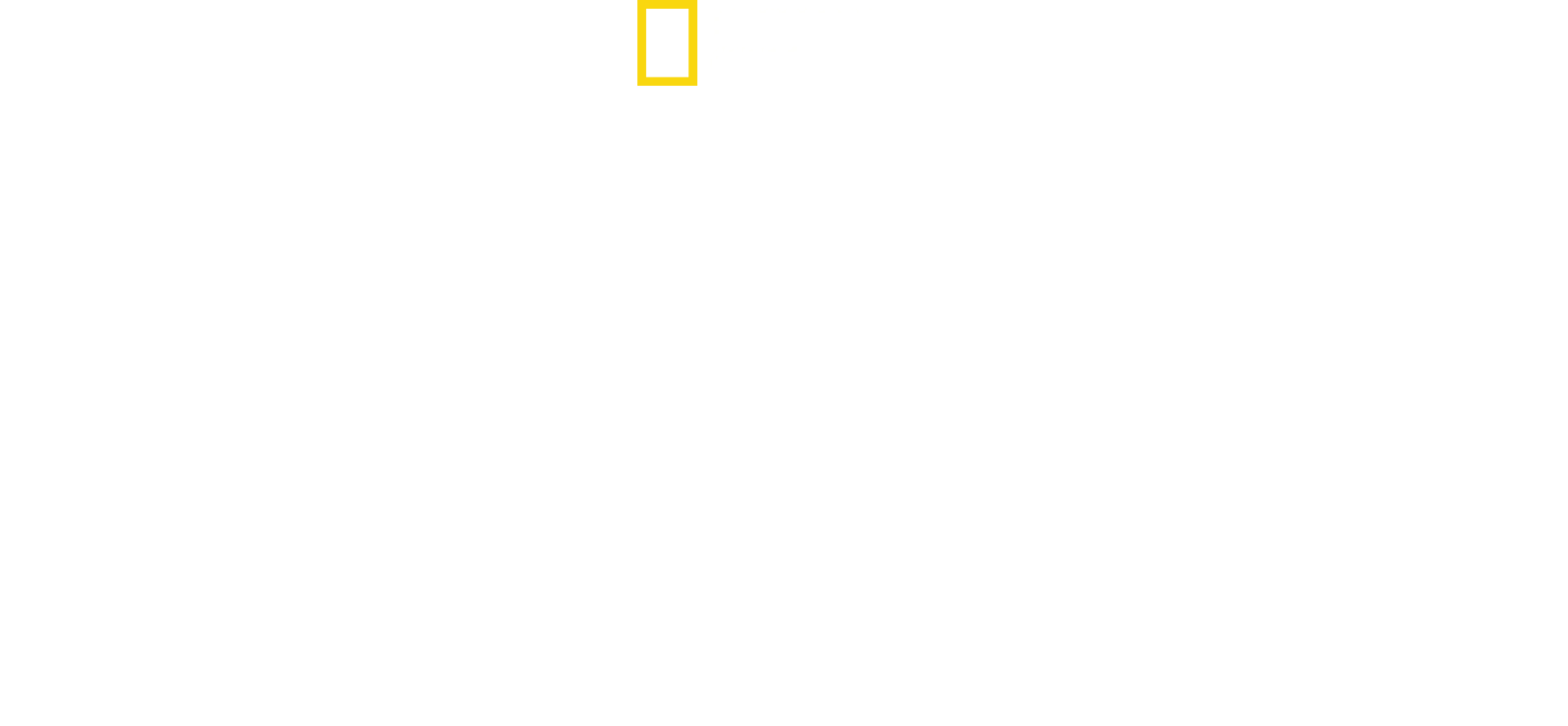 Bobi Wine: el presidente del pueblo