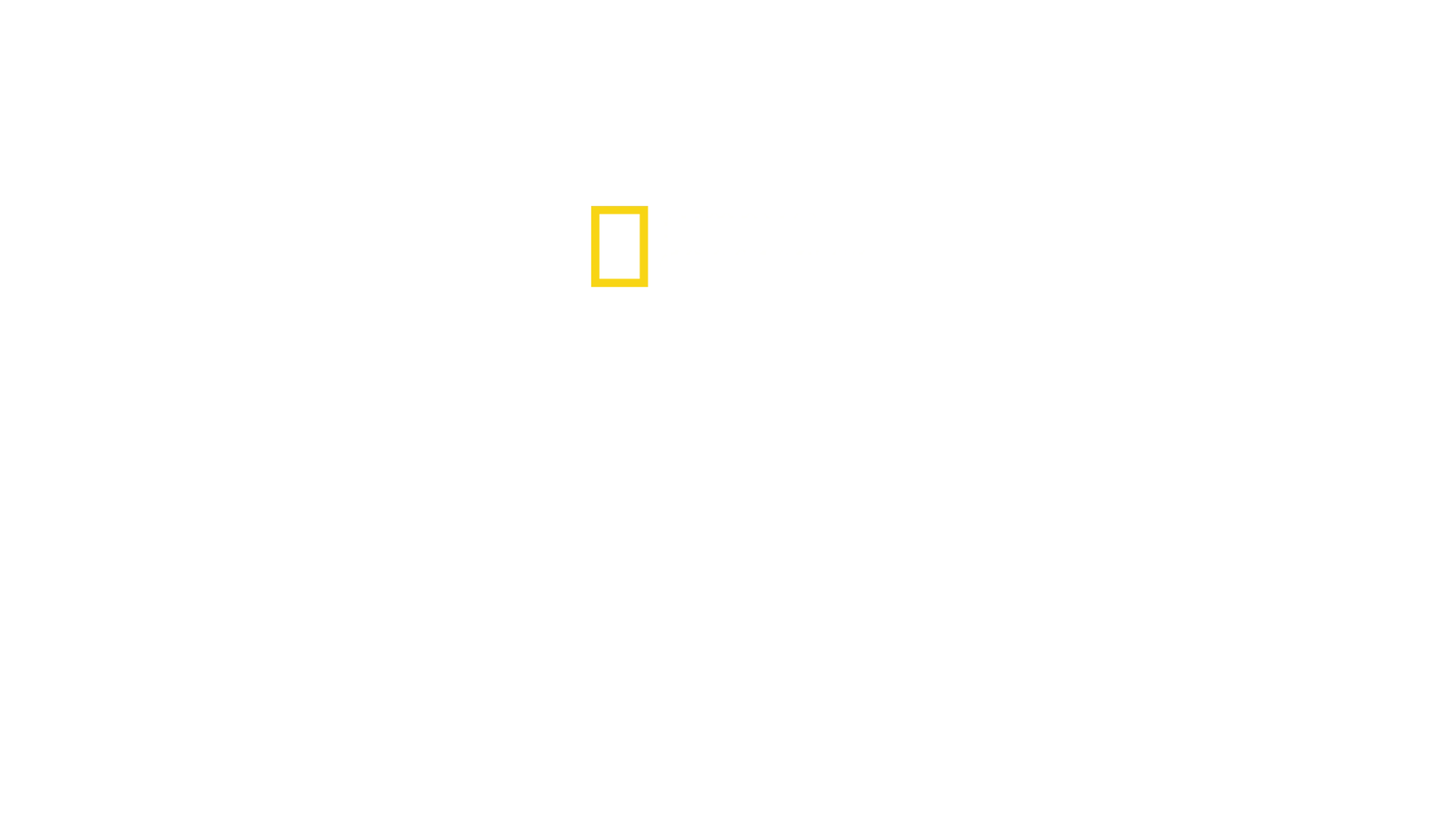 Egyiptom elveszett kincsei