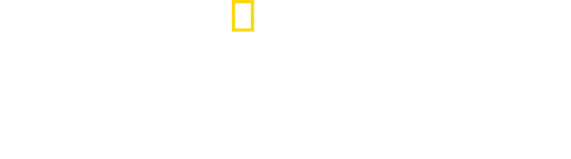 Egyiptom elveszett kincsei