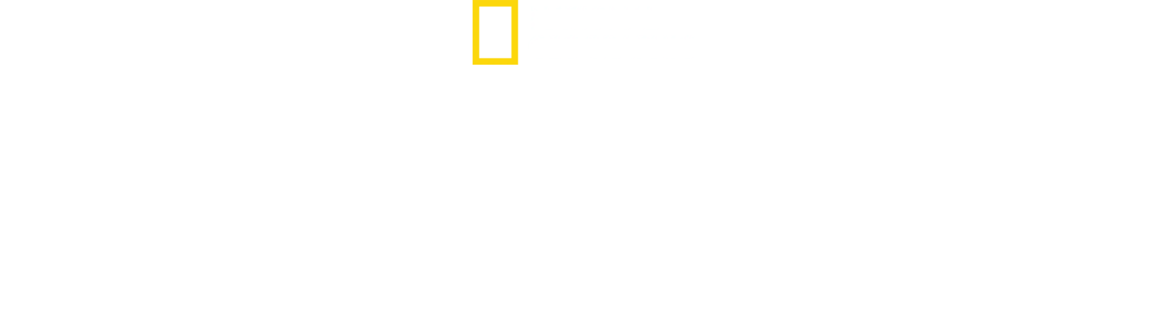 Egyiptom elveszett kincsei