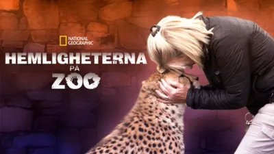 Secrets of the Zoo