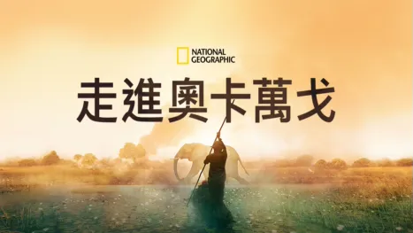thumbnail - 走進奧卡萬戈