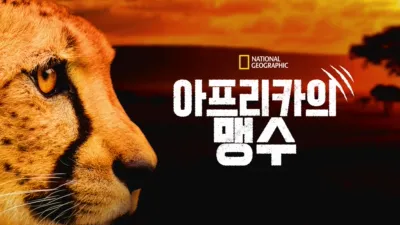 아프리카의 맹수