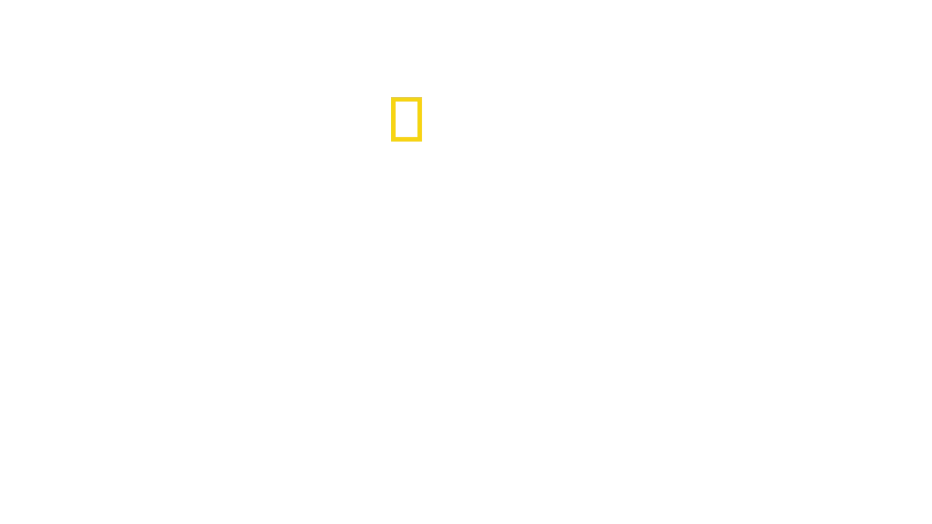Hai-Alarm im Paradies