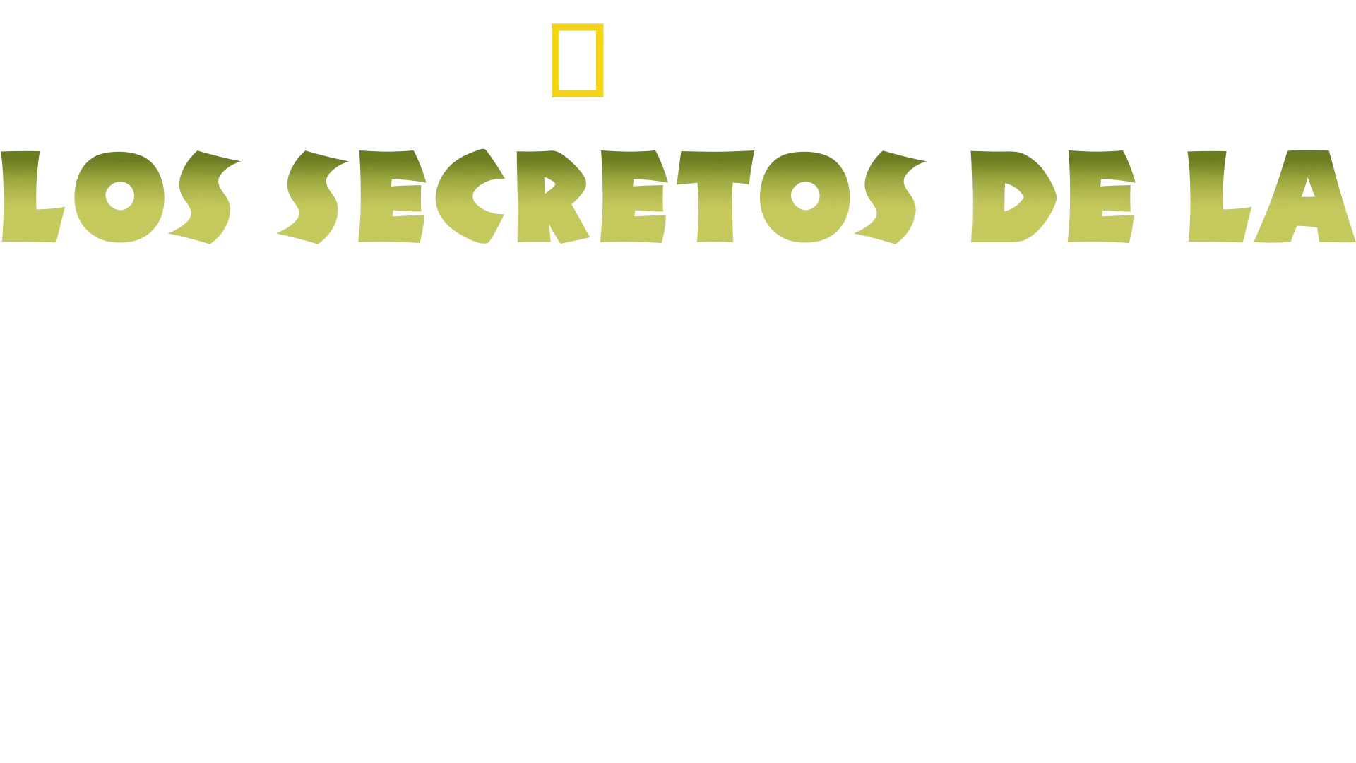 Los Secretos de la India Salvaje
