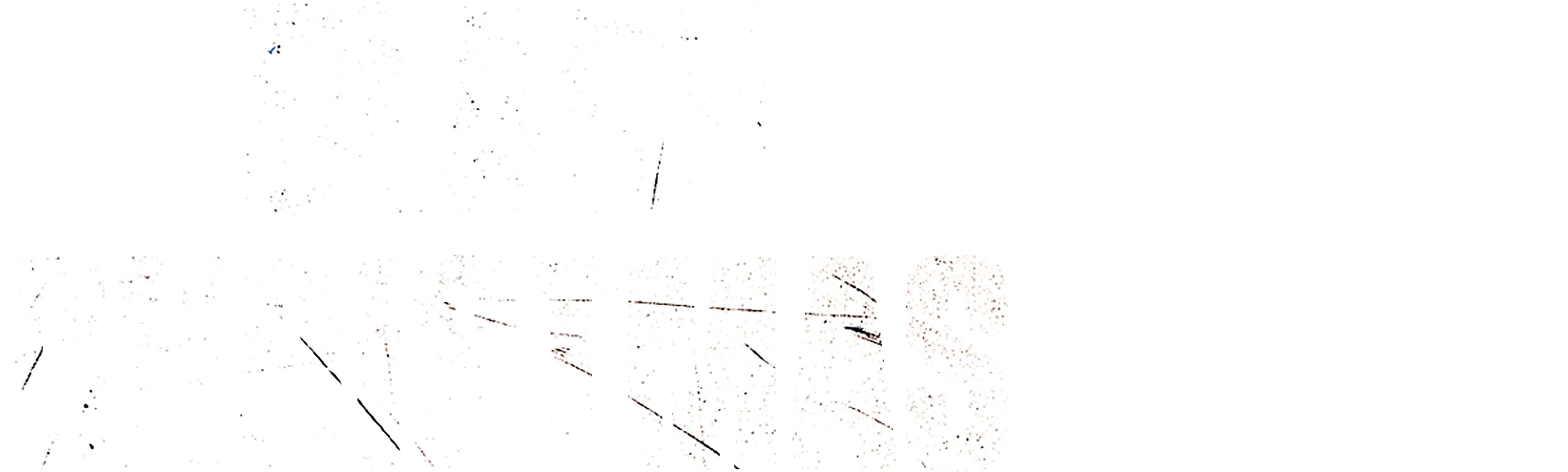 Black Christmas