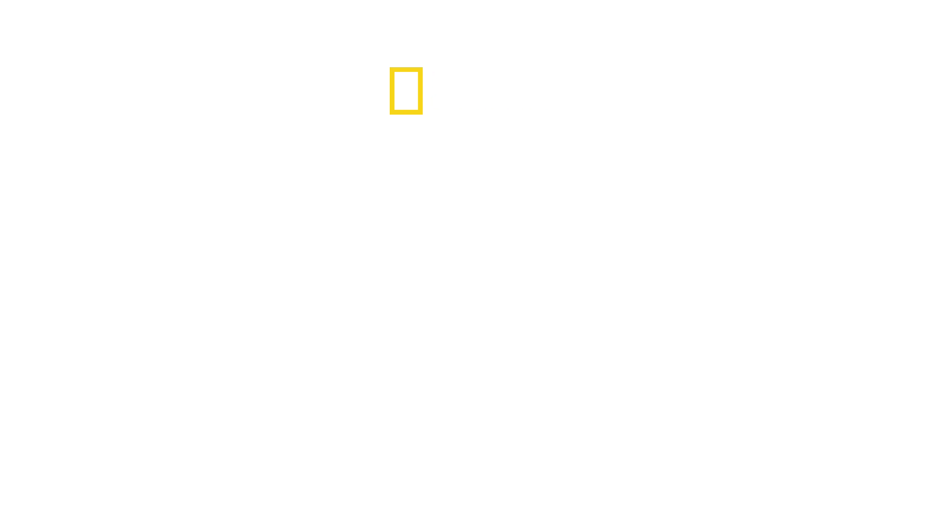 Den lille gigant