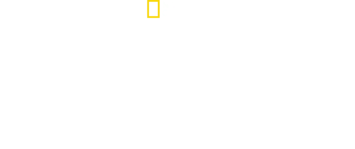 Den lille gigant