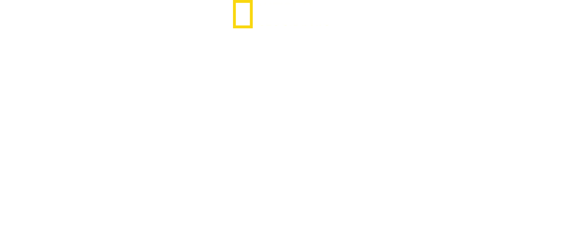 Den lille gigant