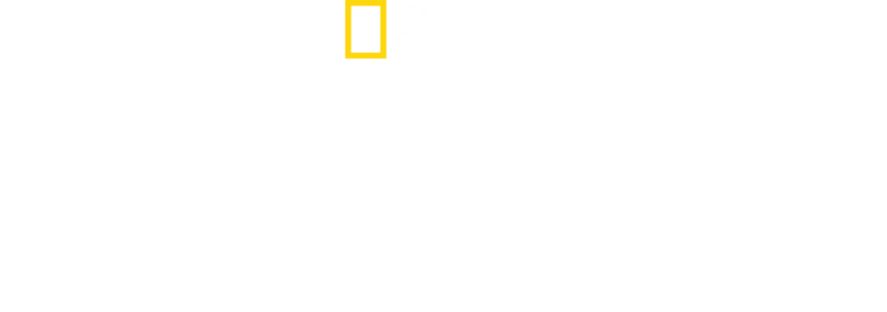 Orașe pierdute și redescoperite, cu Albert Lin