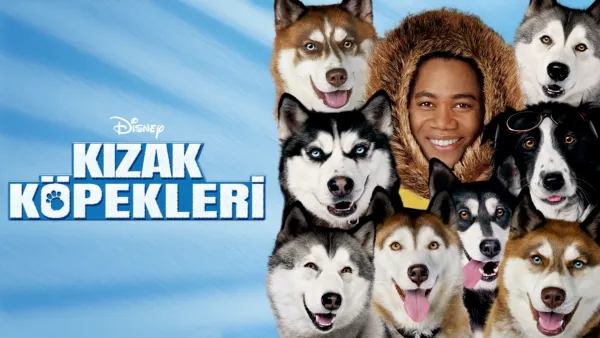thumbnail - Kızak Köpekleri