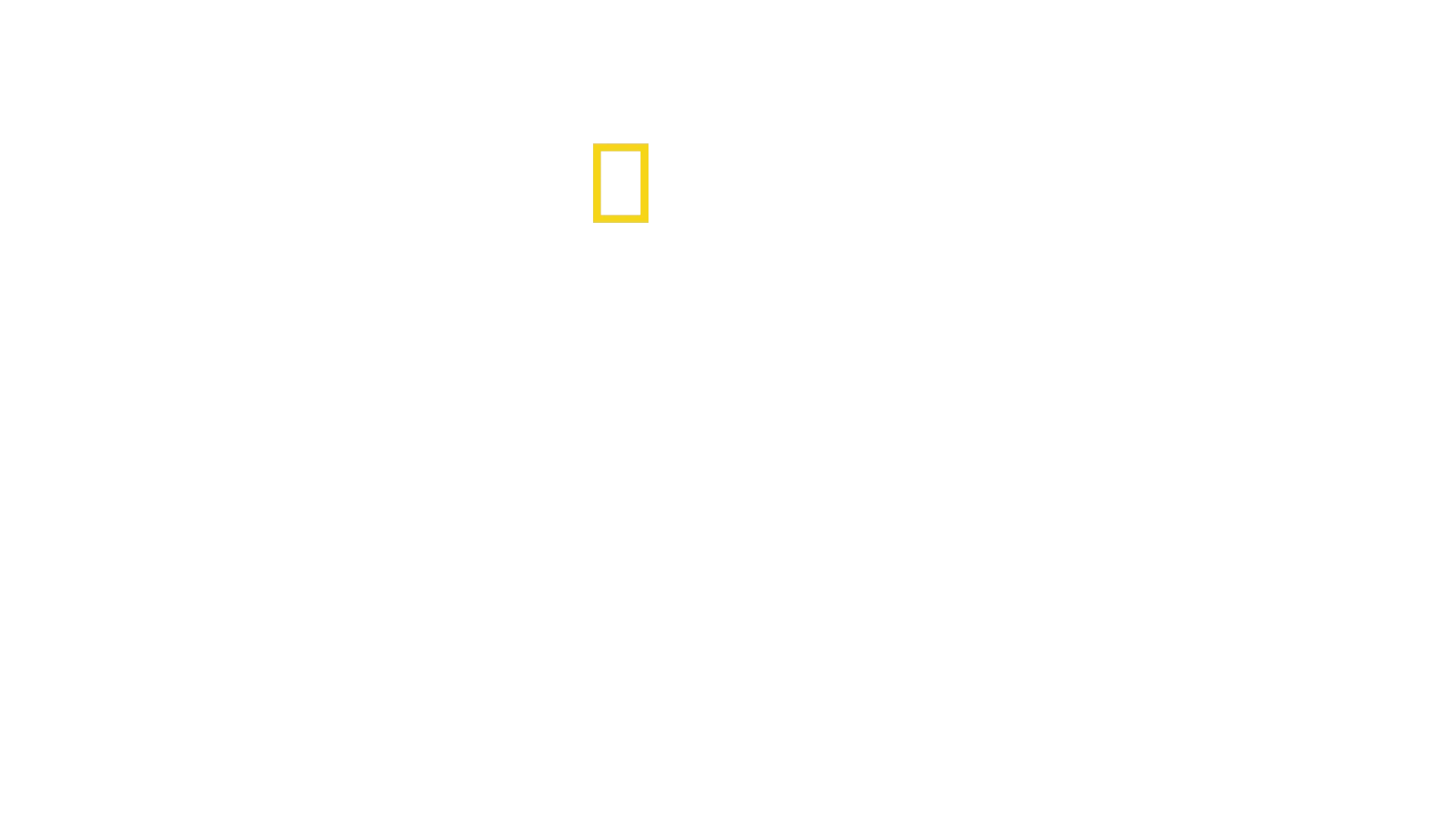 Secrets of the Whales