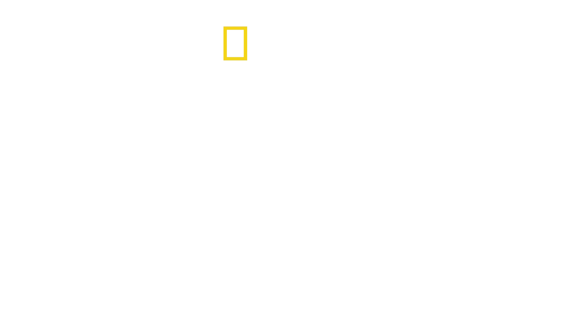 La dinastia Kim