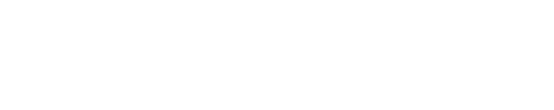 Inga Lindström - Hochzeitsfieber