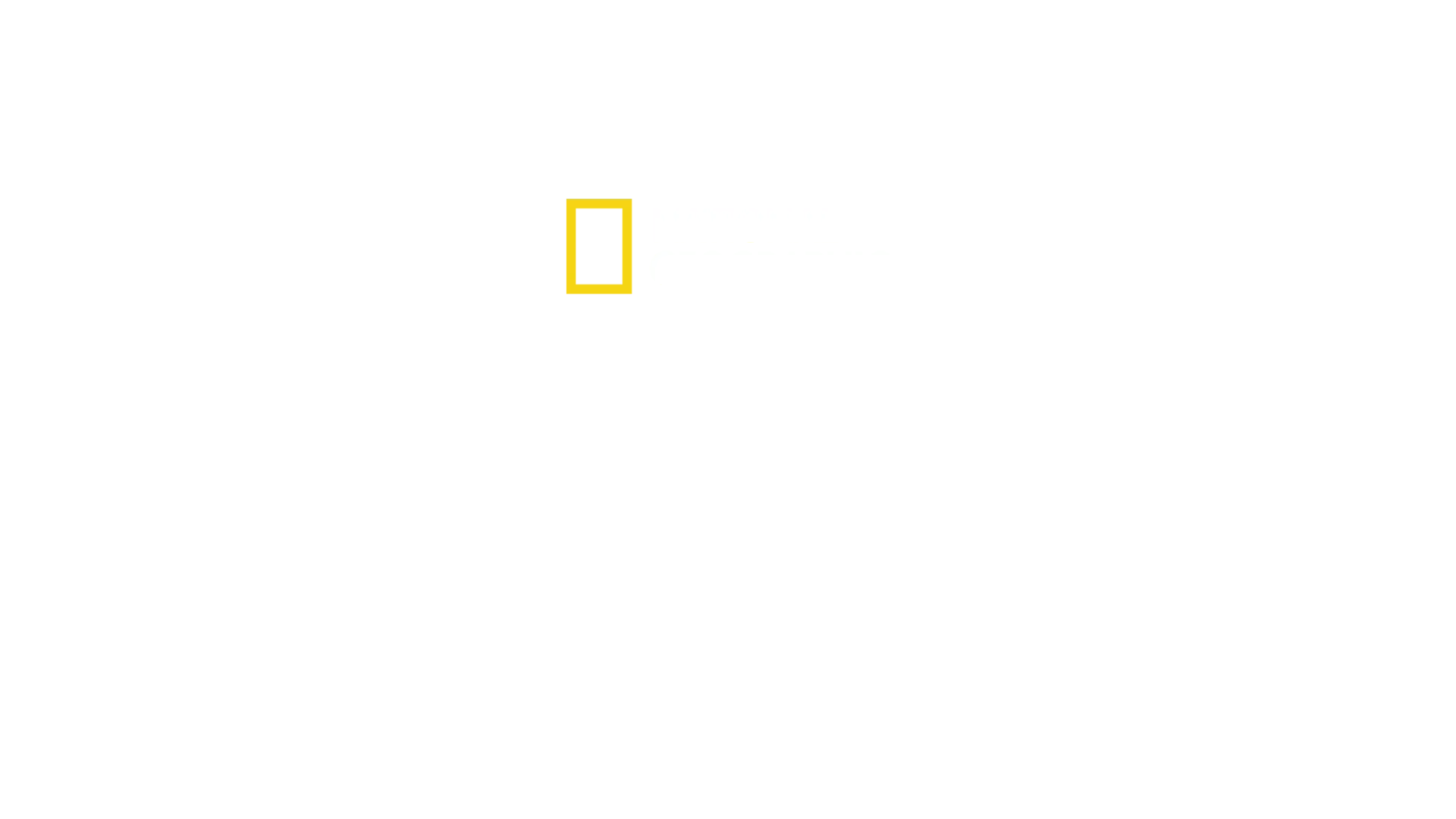 Zošívaný americký sen