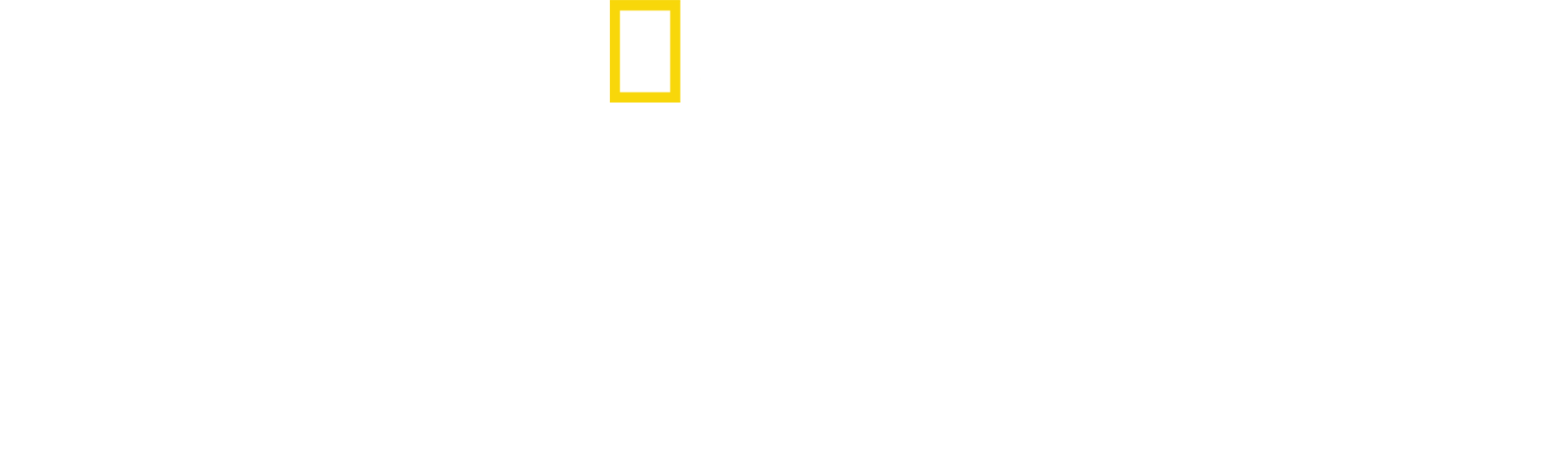 Zošívaný americký sen