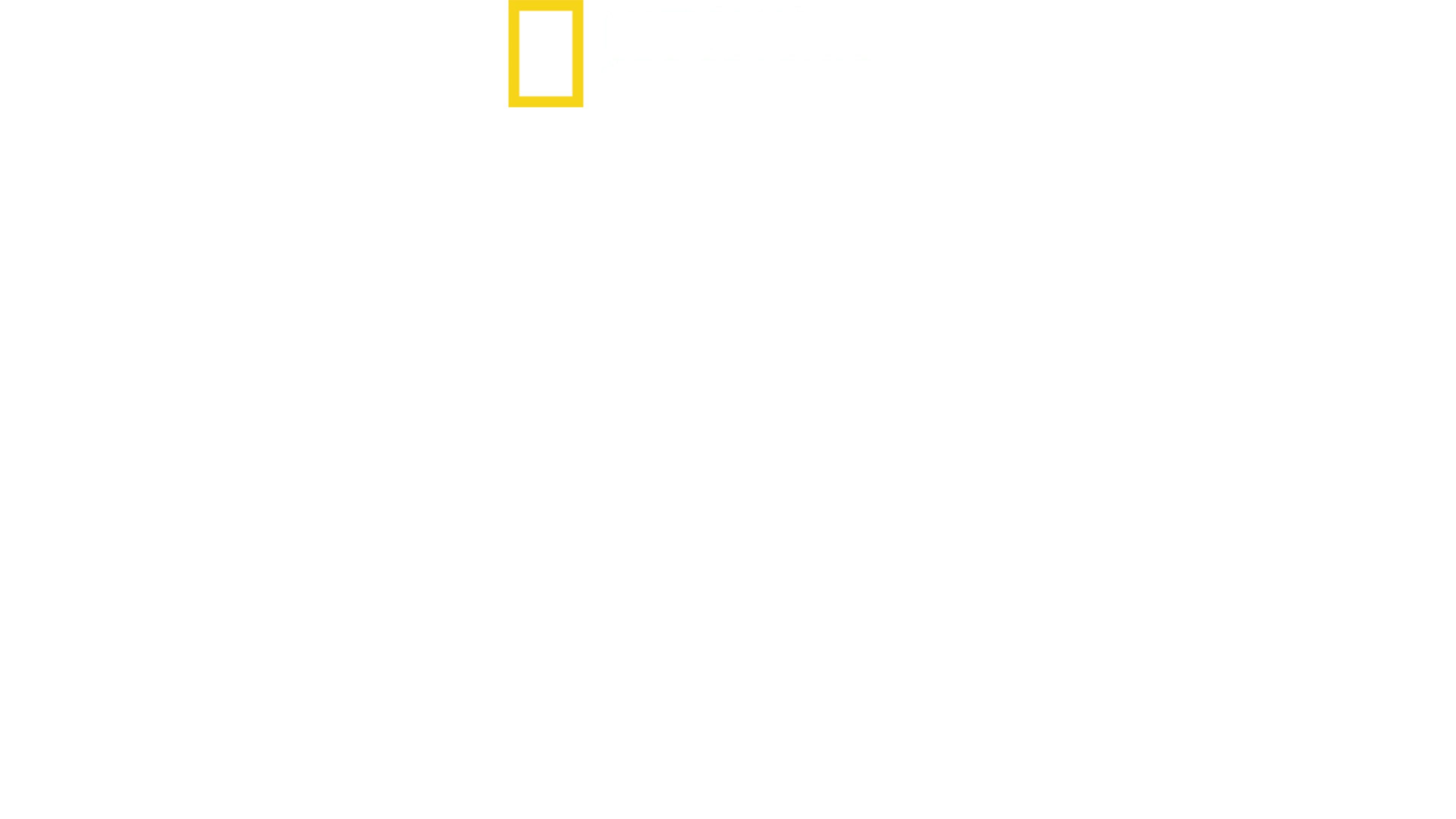 克里斯漢斯沃的鯊魚奇遇