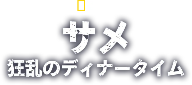 サメ：狂乱のディナータイム