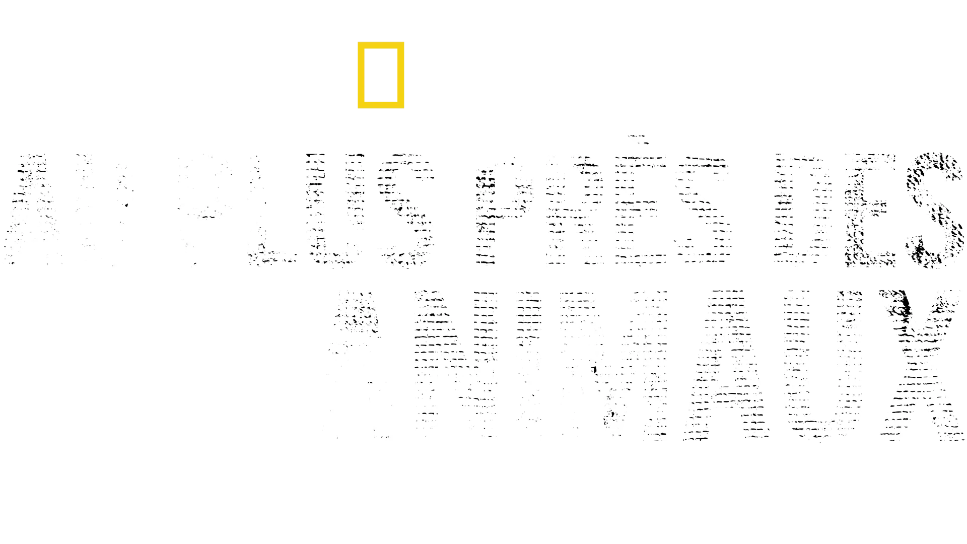 Au plus près des animaux avec Bertie Gregory