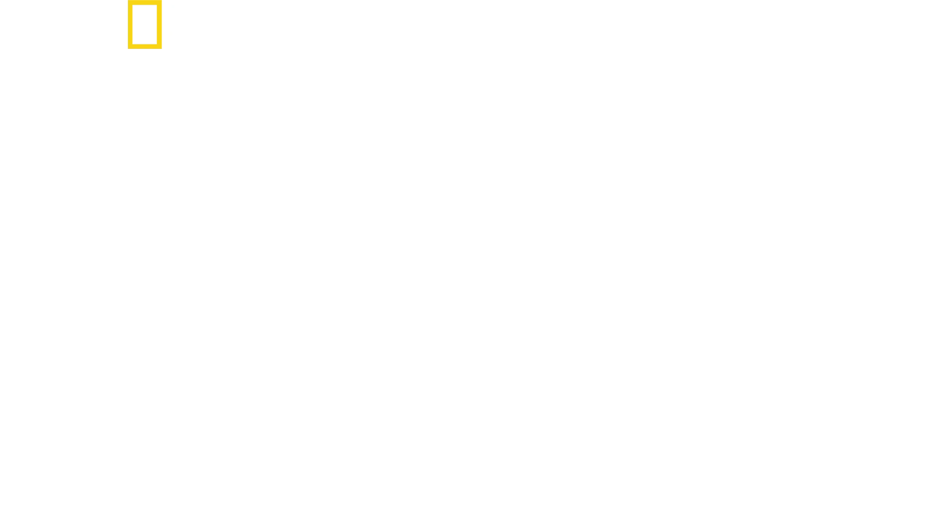 攝影師伯蒂與鯊魚零距離