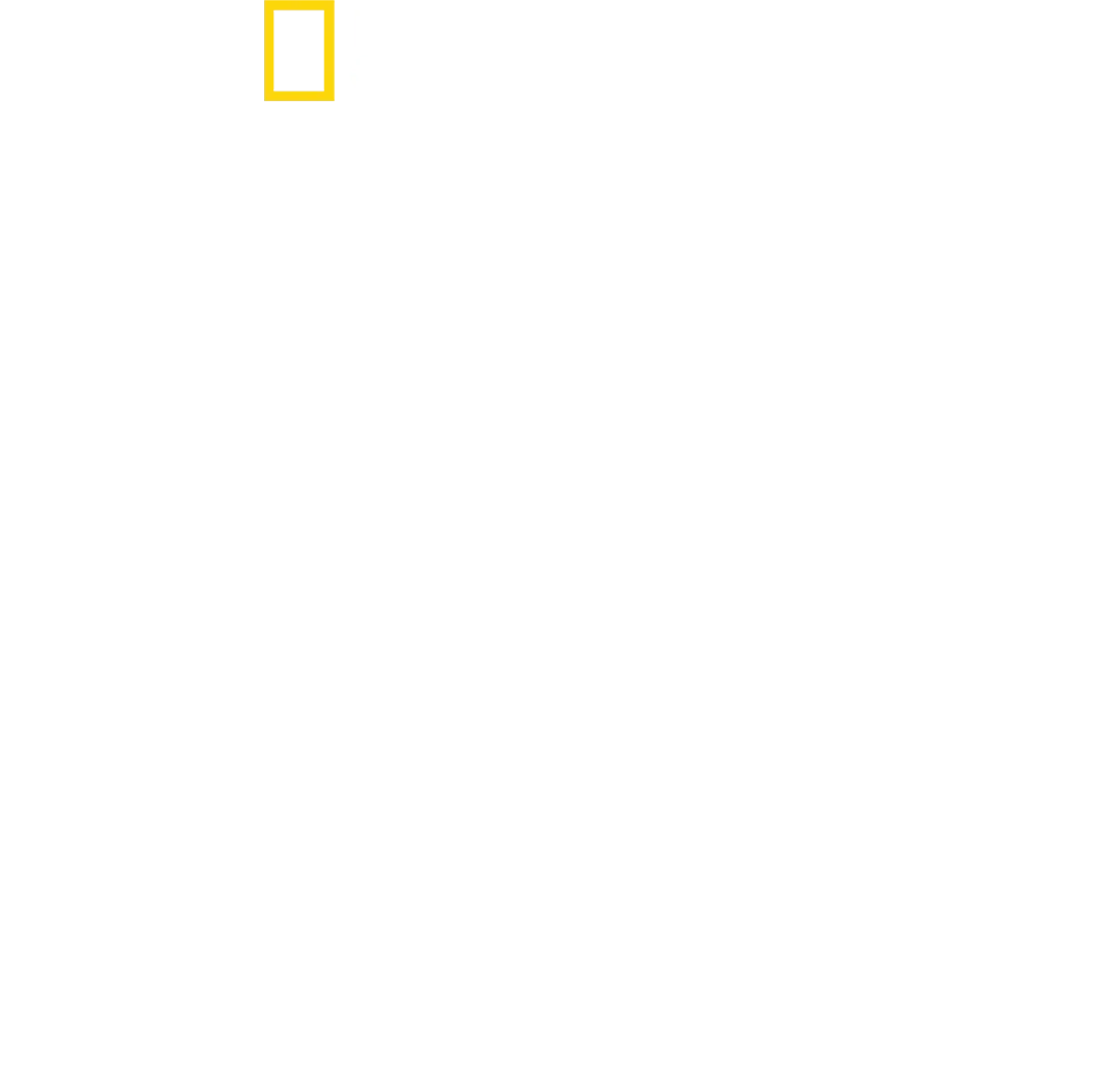 攝影師伯蒂與鯊魚零距離