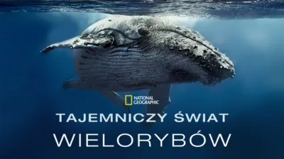 thumbnail - Tajemniczy świat wielorybów