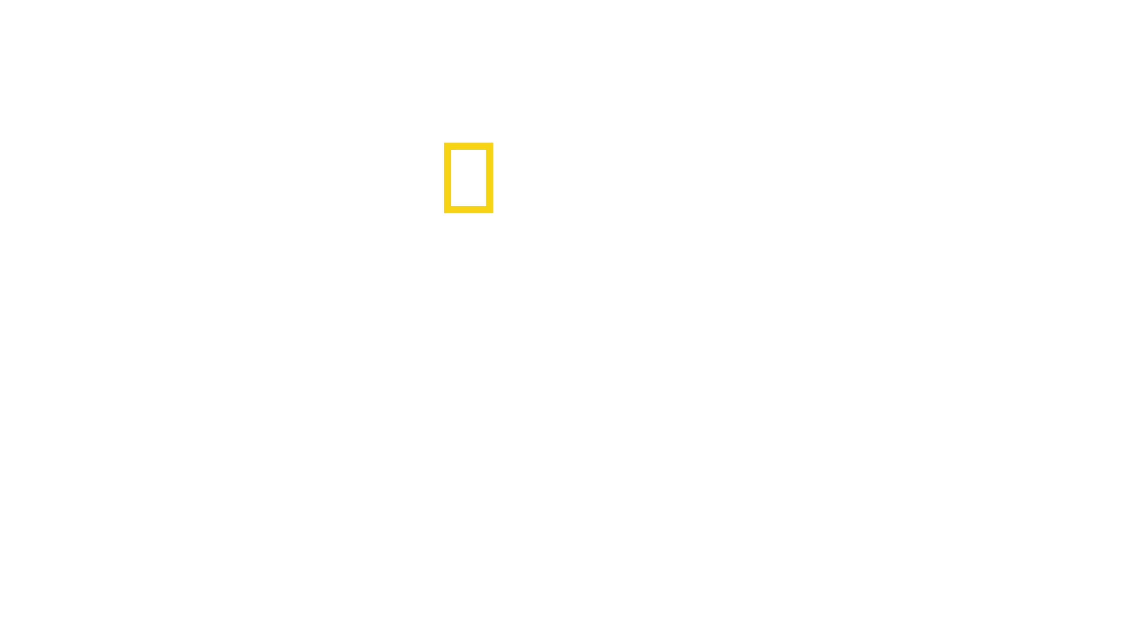 Tajemství chobotnic