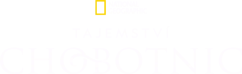 Tajemství chobotnic