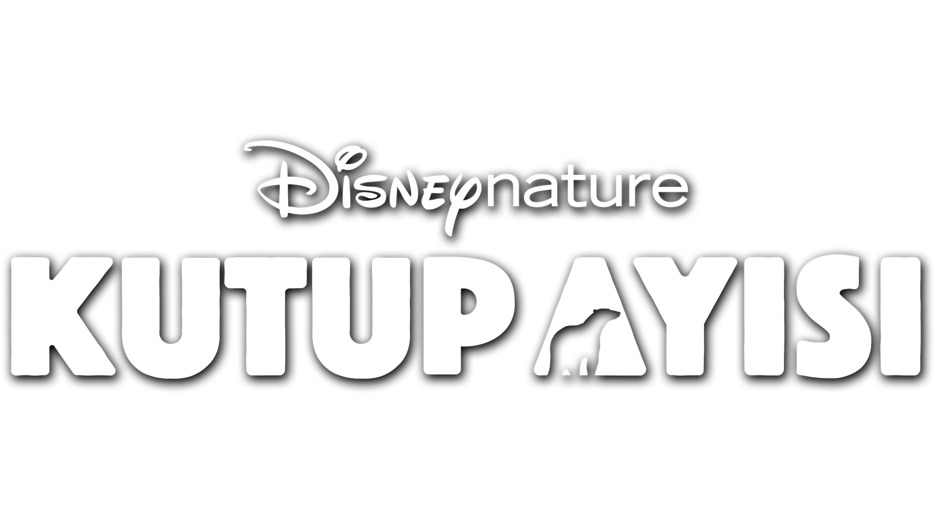 Kutup Ayısı
