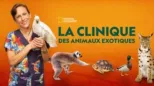 thumbnail - La clinique des animaux exotiques