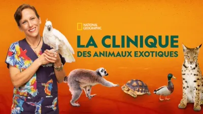 La clinique des animaux exotiques