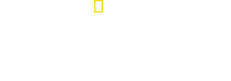 IMPACT with Gal Gadot