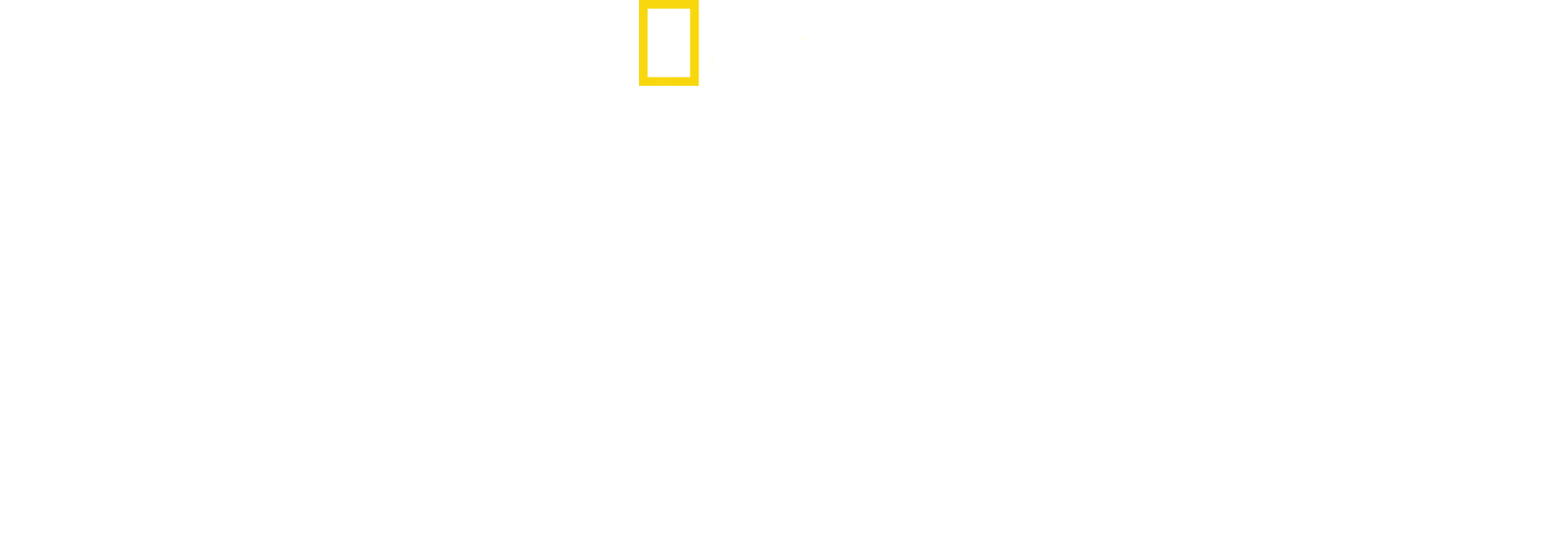 IMPACT with Gal Gadot