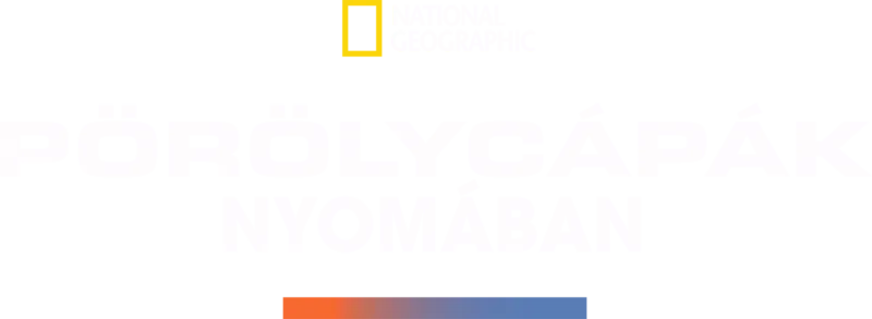 Pörölycápák nyomában