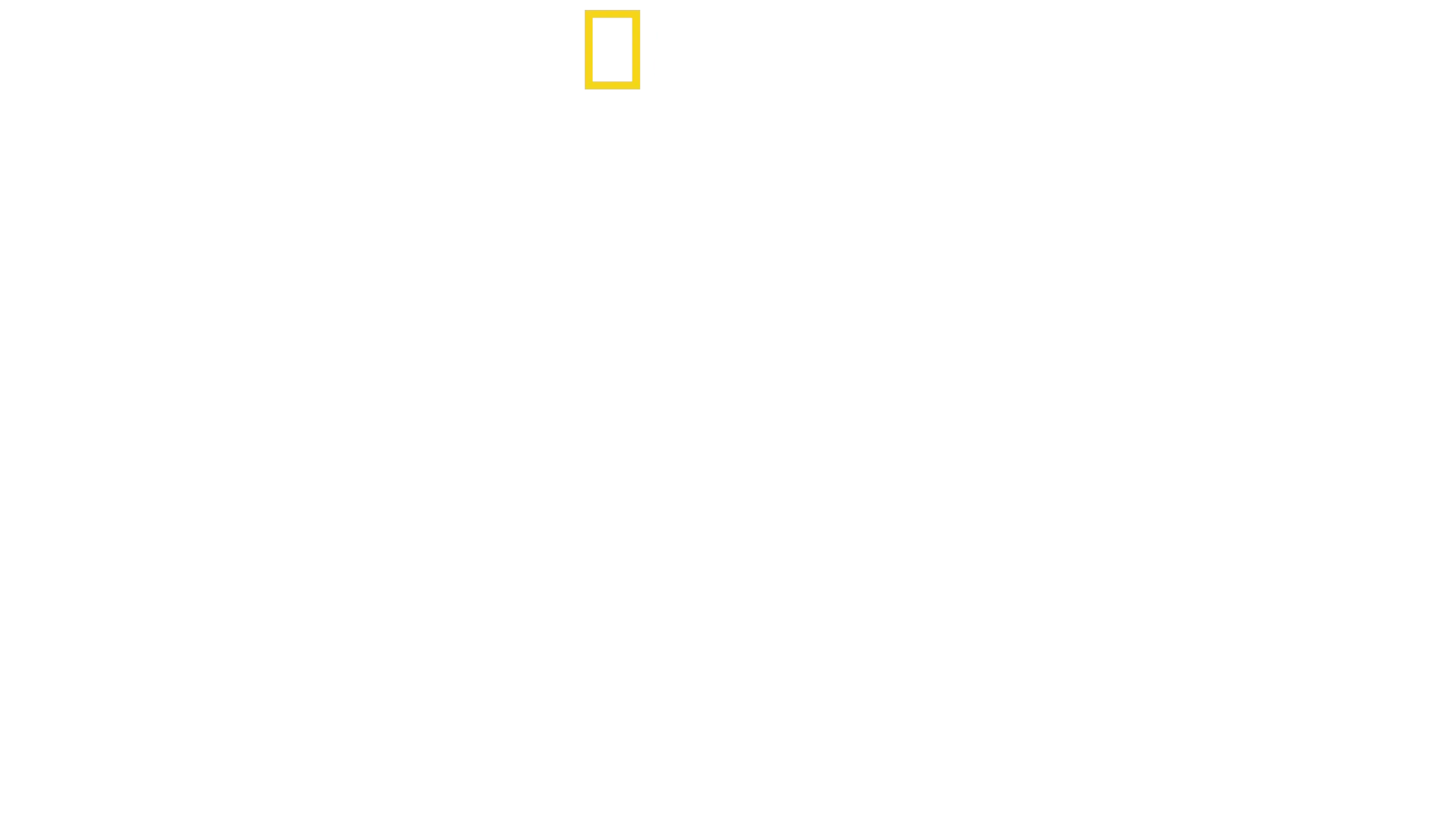 Gender Revolution: A Journey With Katie Couric
