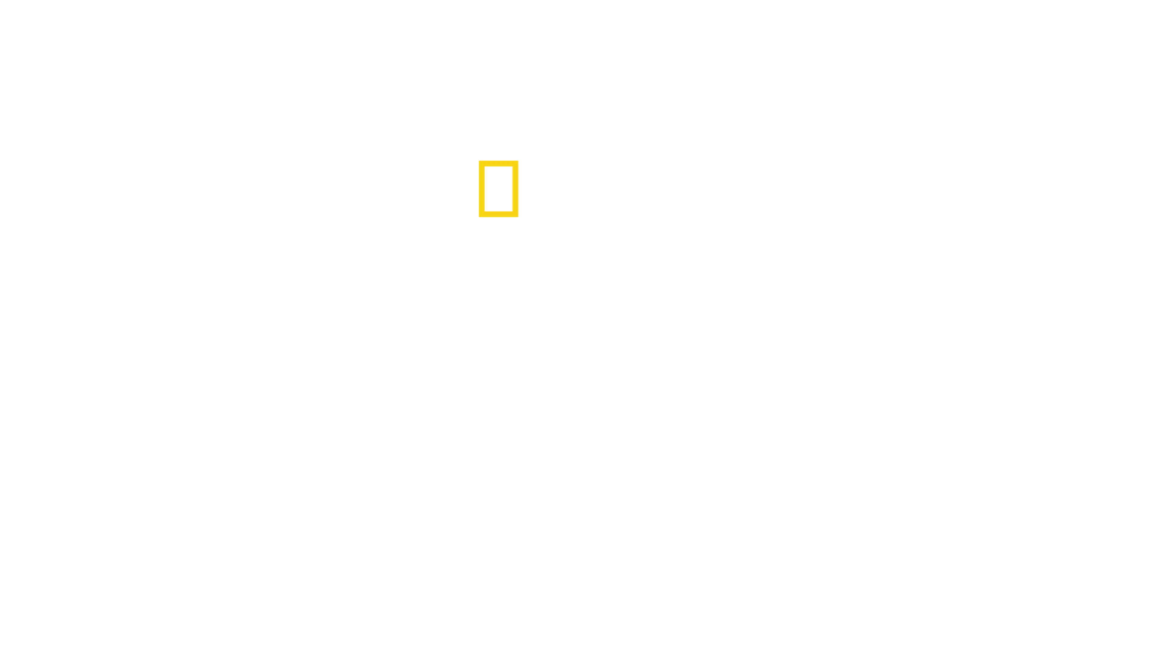 Sălbaticul Yellowstone