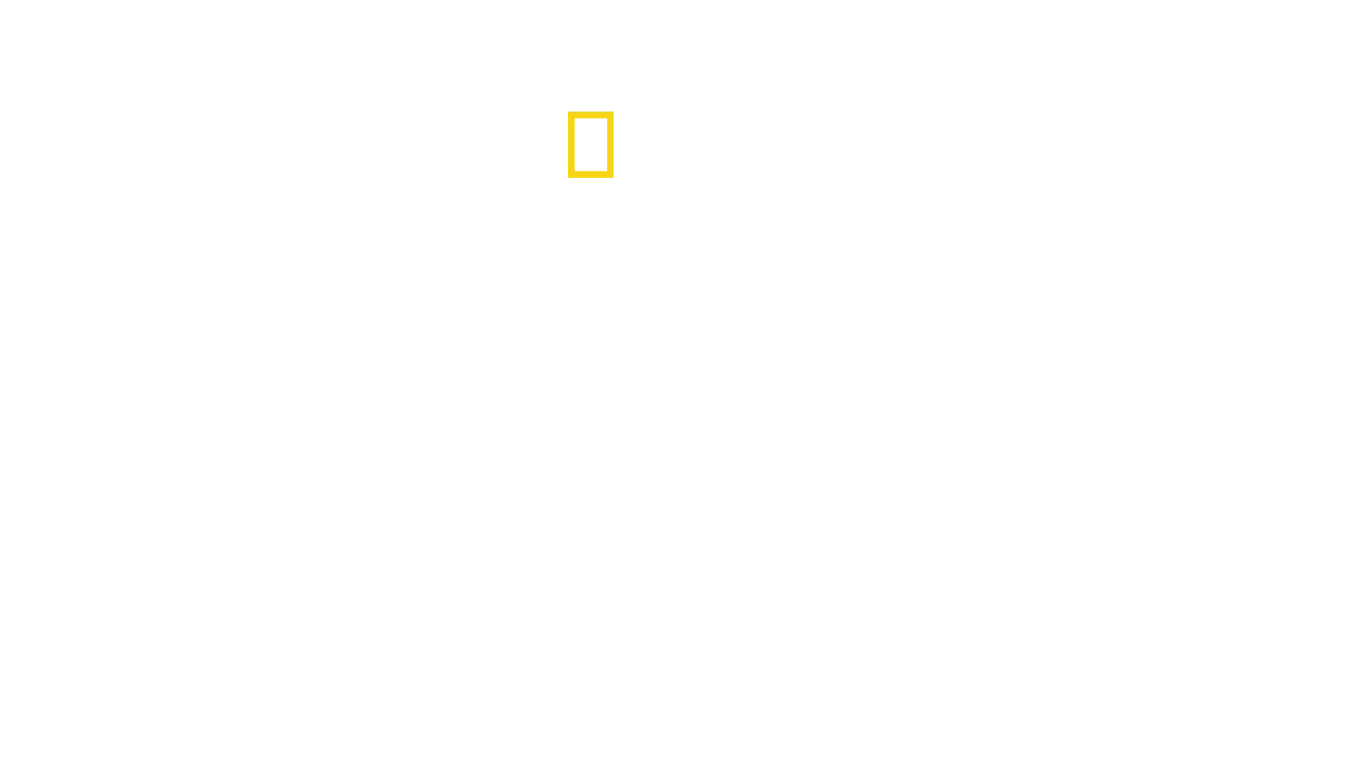 Port Security: Hamburg