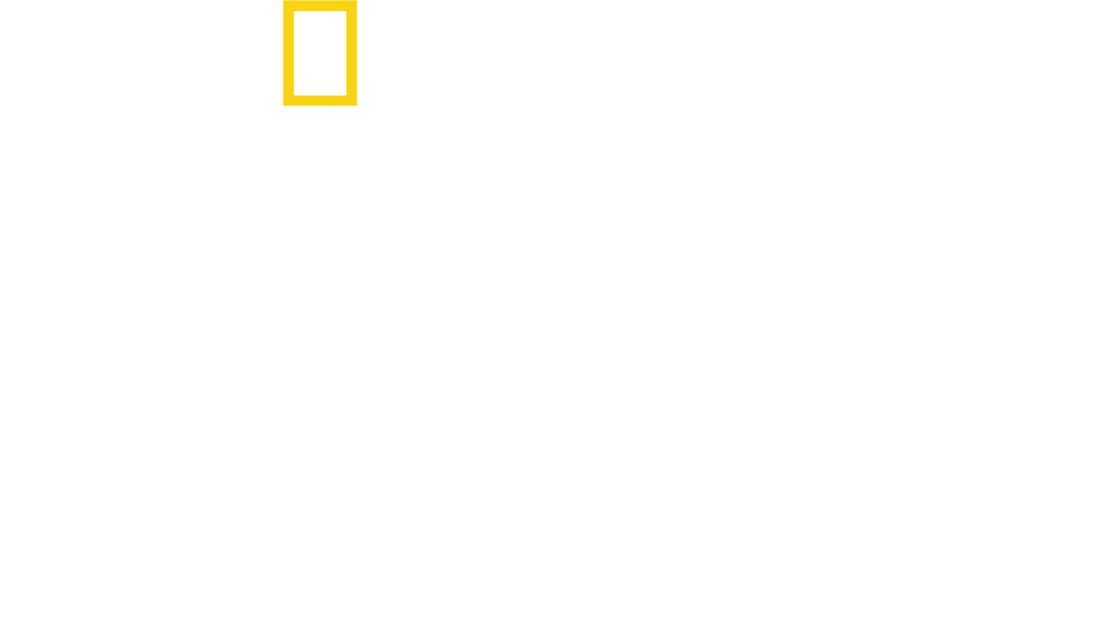 Ataque de tiburones