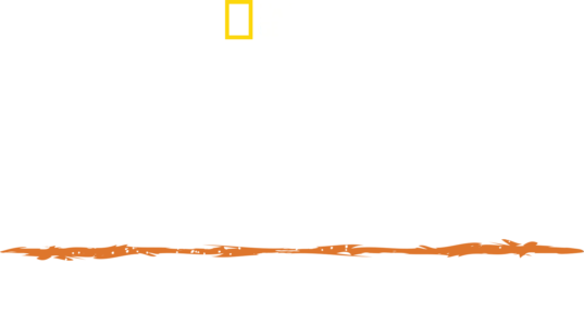 Sopravvivenza estrema :le Ande