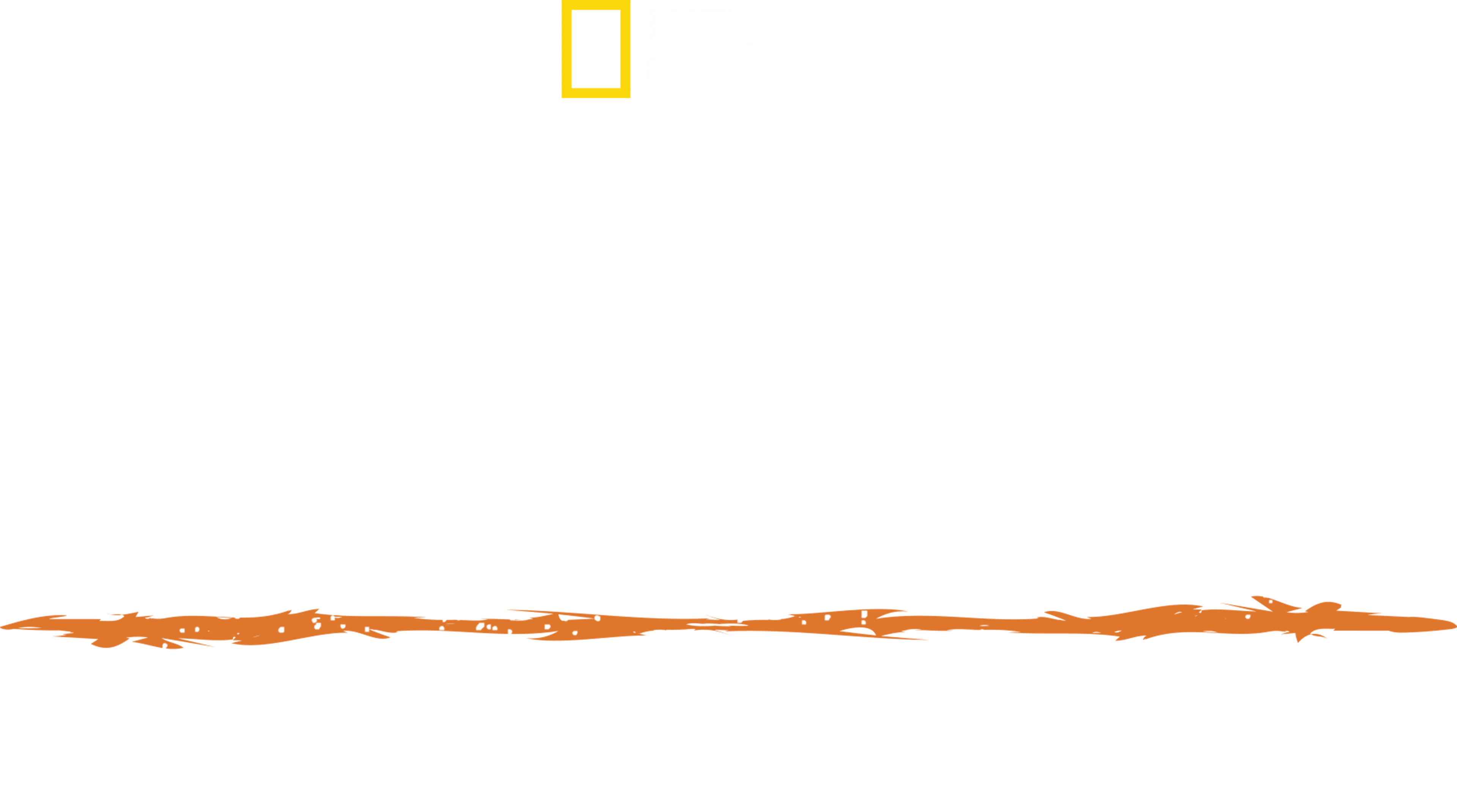 Sopravvivenza estrema :le Ande