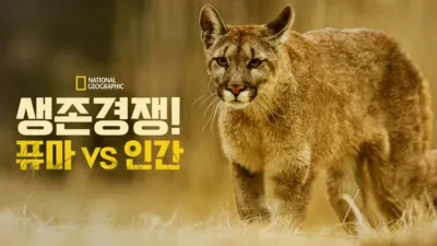thumbnail - 생존 경쟁! 퓨마 vs 인간