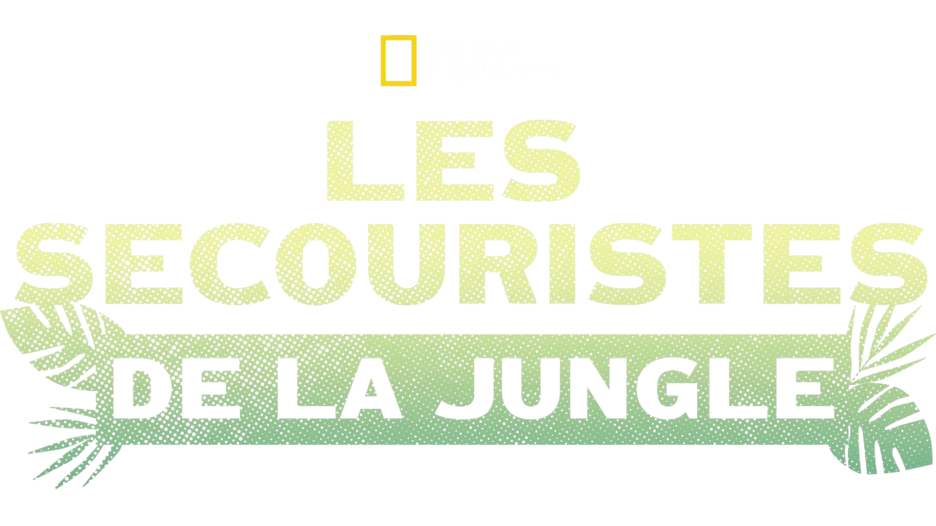 Jungle Animal Rescue