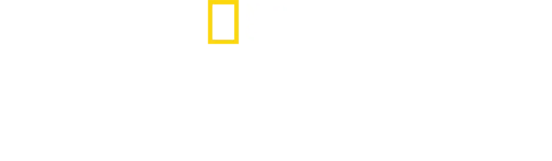 라스트 아이스