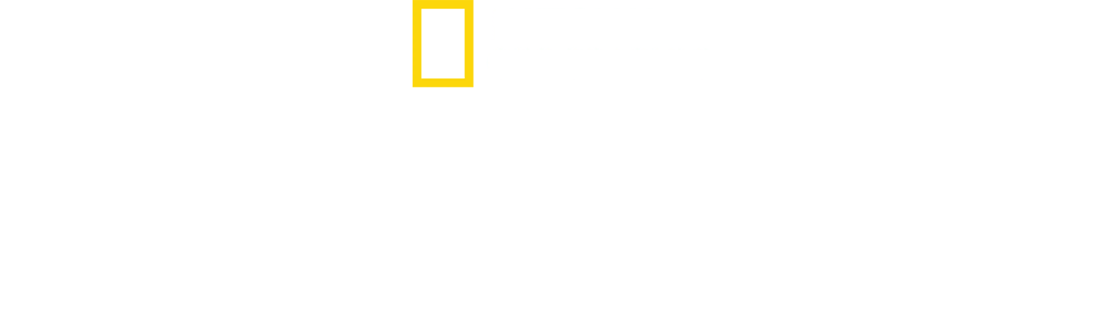 라스트 아이스